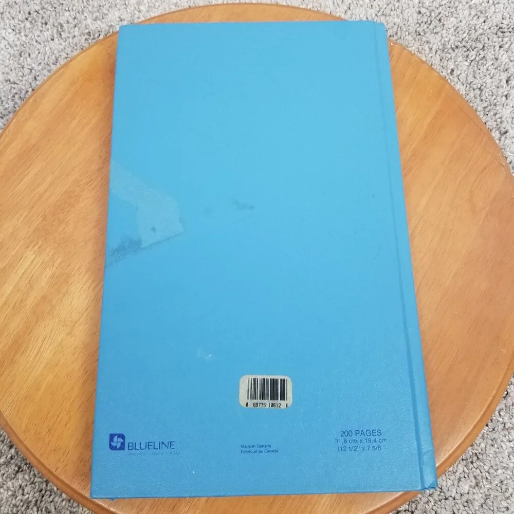Blueline vintage ledger